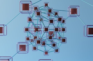 Network Architecture